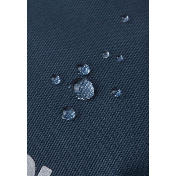 REIMA pirštinės ENSIN (Žiema)/ (Mėlynos)