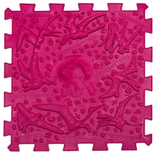 Masažo ortopedinis kilimėlis Ortek Dinosauro dėlionė (10 elementų + 6 trikampiai)