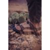 TEVA sandalai Originals vyrams (Dark Olive)