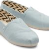 05968964dbfbfaf0124901ea313fcaef TOMS ALPARGATA 10020675 Light Mint