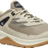 2852459014afb94b2dad8e9c18ed6570 Keen Hightrail Wp Men's 1031121 Brindle/Birch