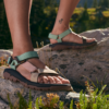 48b6b60bd2107248be0c08e7faa7a934 Teva TEVA Hurricane XLT2 Women's Basil/ Maple Sugar Multi