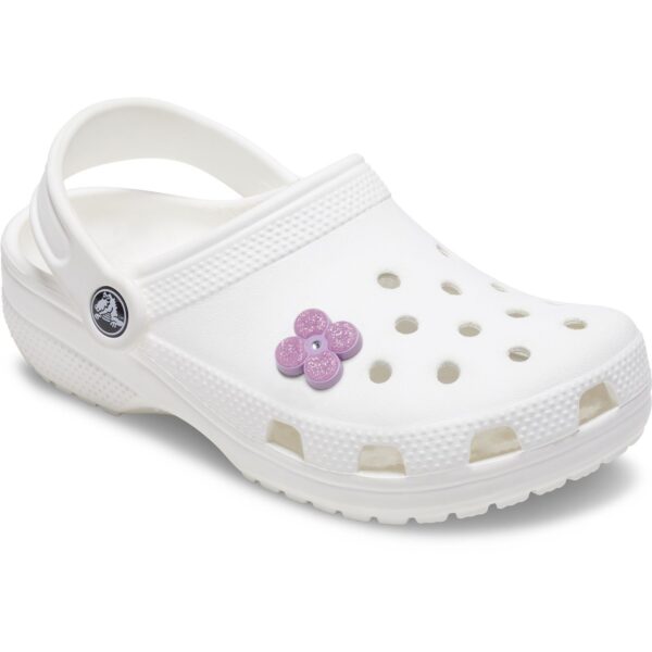 55c5f95a8ec0a0d2dfdfc45362270534 Crocs™ Crocs Tiny Purple Glitter Flower 196265895519 Crocs Tiny Purple Glitter Flower 196265895519