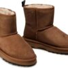 6eb033d552a21eb92b848731f5c2fe4f EMU Australia Sharky Mini Chestnut/Black