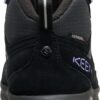 859b3490e09c305ee3982e664315f7ea Keen Hightrail Mid Polar Women's 1031177 Black/Aster Purple