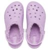 a2e4c072a32b60364f1ce0bf5d669873 Crocs™ Baya Lined Clog Kid's 207501 Orchid/Orchid