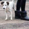 Crocs™ Classic Neo Puff Luxe Boot Women's Black