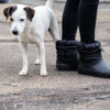 Crocs™ Classic Neo Puff Luxe Boot Women's Black