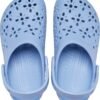 0c0709815970528b963cbb427220b4d8 Crocs™ CLASSIC FLORAL CUT OUT CLOG KID'S Blue Haze